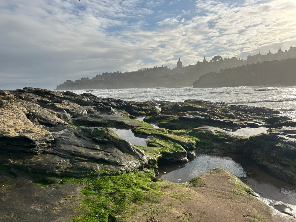 Scones, Sights, Seas, & The Scottish Play–02/03/26